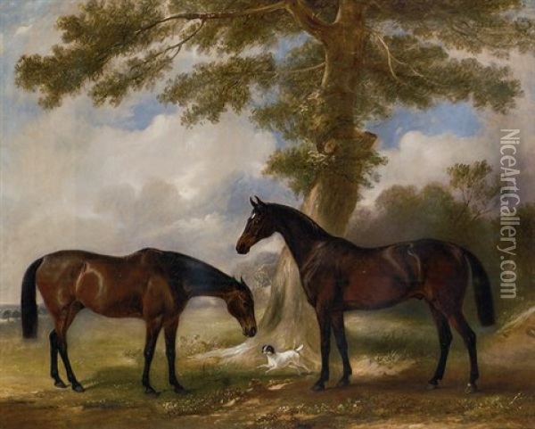 Two Bay Mares With A Terrier By A Tree, In A Landscape Oil Painting - John E. Ferneley