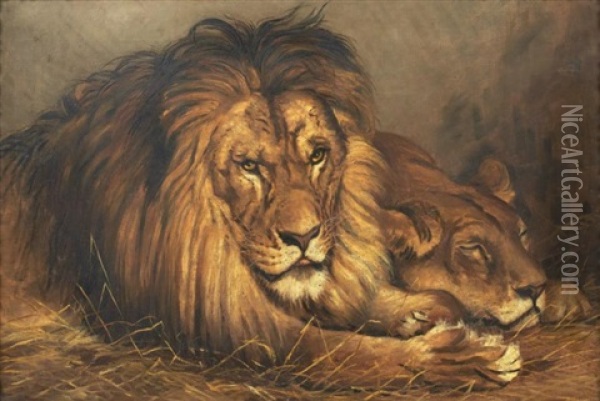Couple De Lions Oil Painting - Gustave Surand
