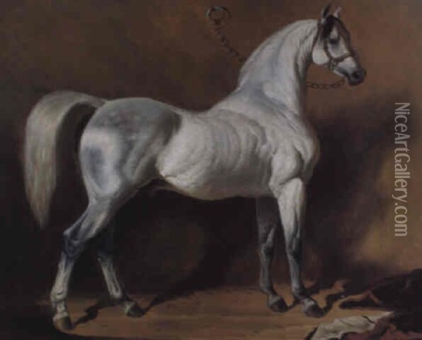 An Arab Stallion Oil Painting - Alfred De Dreux
