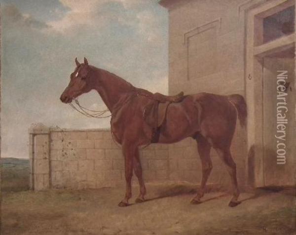 A Surrey Hunter Aged 22 Years Oil Painting - Abraham Cooper