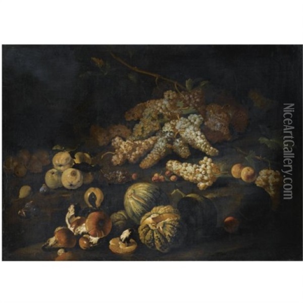 Still Life With Mushrooms, Bunches Of Grapes, Melons And Other Fruit Arranged Over Rocky Ground Oil Painting - Marco Antonio Rizzi