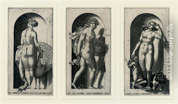 Juno, Proserpina And Venus Oil Painting - Giovanni Jacopo Caraglio