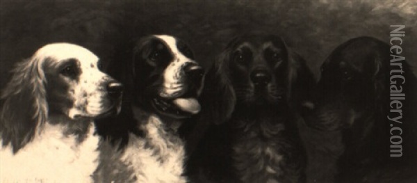 A Portrait Of Four Setters Oil Painting - Alexander Pope