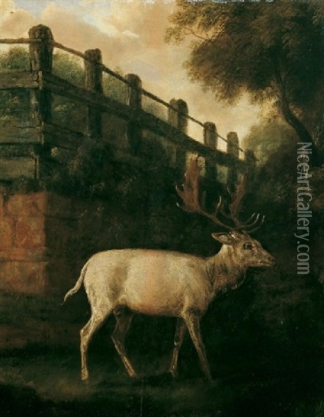Ein Weisser Damhirsch Im Gehege Oil Painting - Johann Elias Ridinger