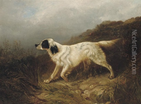 A Setter Oil Painting - George William Horlor
