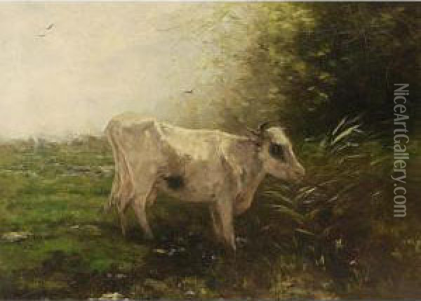A Cow At Pasture Oil Painting - Willem Maris