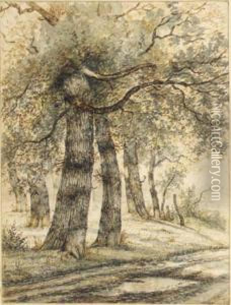 Trees Along A Road Oil Painting - George Pieter Westenberg