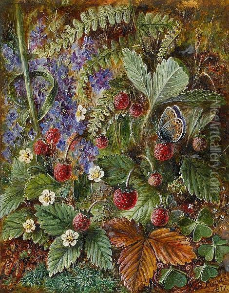 Wild Strawberries And A Butterfly (veronicafern And Moss) Oil Painting - Albert Durer Lucas
