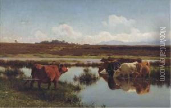 Cattle Watering At A Stream Oil Painting - Auguste Bonheur
