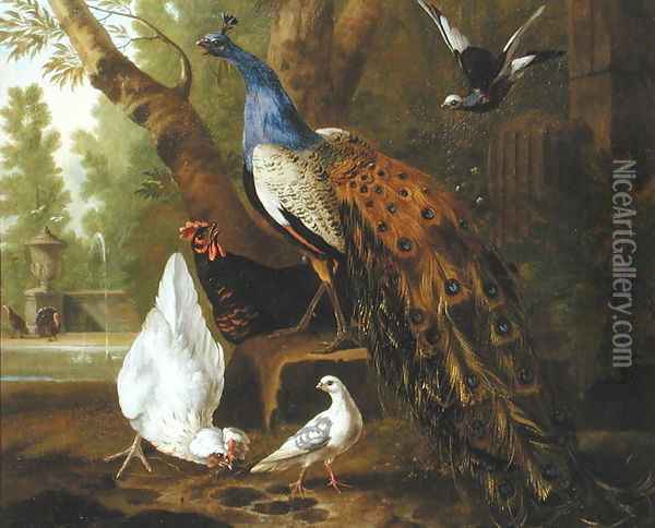 An Assembly of Birds in a Classical Park, 1719 2 Oil Painting - Pieter Casteels