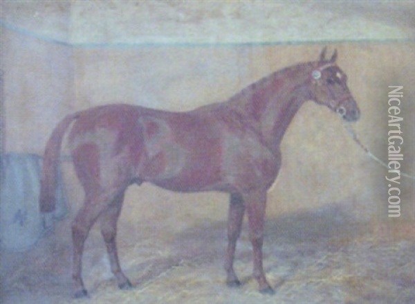 Chestnut Mare In A Stable Oil Painting - Albert Clark