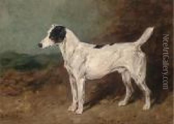 Bitters, A Terrier Oil Painting - John Emms