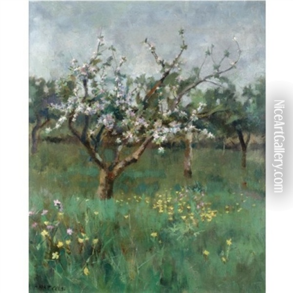 Apple Blossom Oil Painting - Harold Harvey
