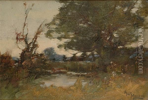 A Pool In The Meadow Oil Painting - Alexander Maclean