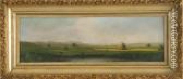 Marsh Landscape With Haystacks Oil Painting - Martin Johnson Heade