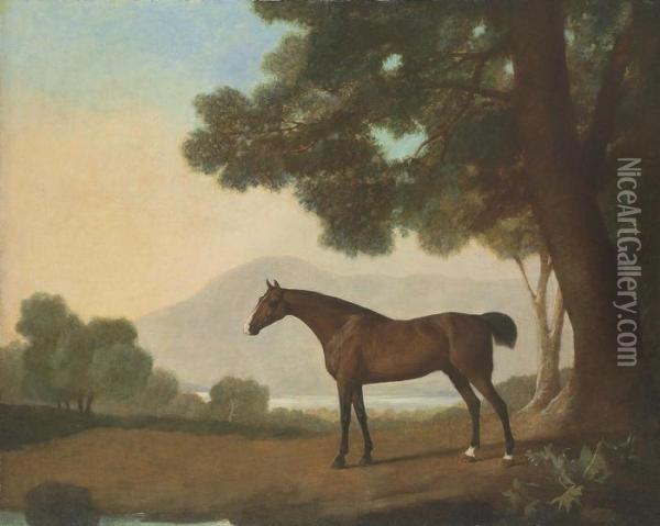 Lord Clermont's Bay Racehorse Johnny Oil Painting - George Stubbs