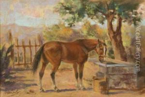 Cavallo Oil Painting - Silvio Bicchi