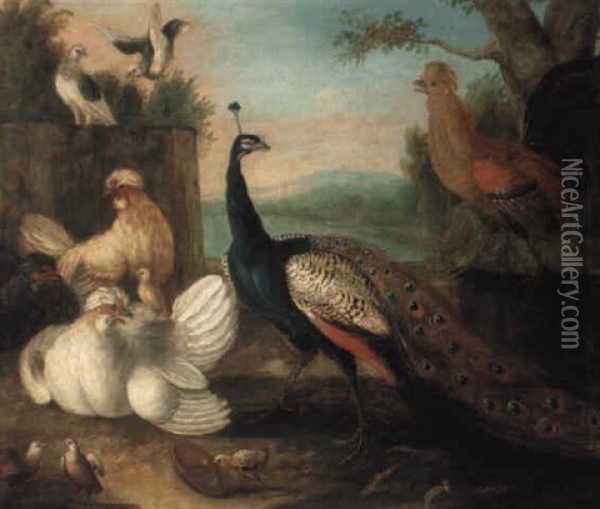 Exotic Fowl In A Landscape Oil Painting - Marmaduke Cradock