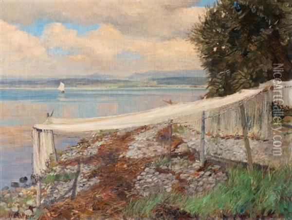 Netze Am Ufer Oil Painting - Heinrich Lotter