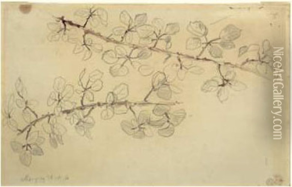 Deux Branches De Feuillages Oil Painting - Eugene Delacroix