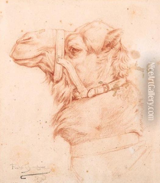 The Head Of A Camel Oil Painting - Rosa Bonheur