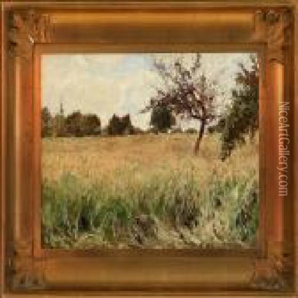 A Golden Field Oil Painting - Bertha Wegmann