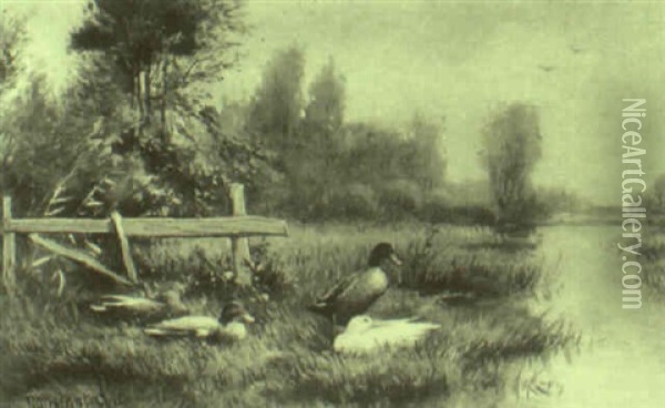 Ducks On A River Bank Oil Painting - David Adolf Constant Artz