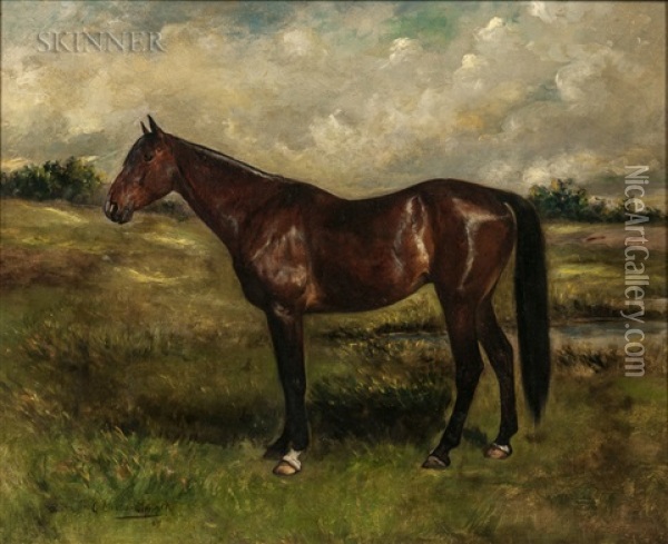 Portrait Of A Thoroughbred Oil Painting - Gustav Muss-Arnolt