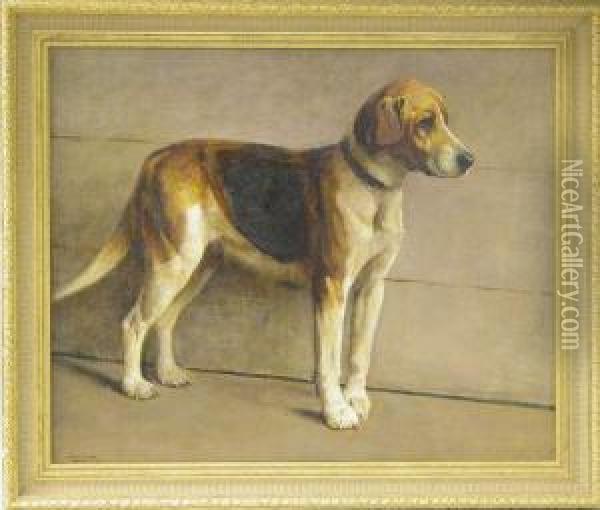 Standing Beagle Oil Painting - Samuel Fulton