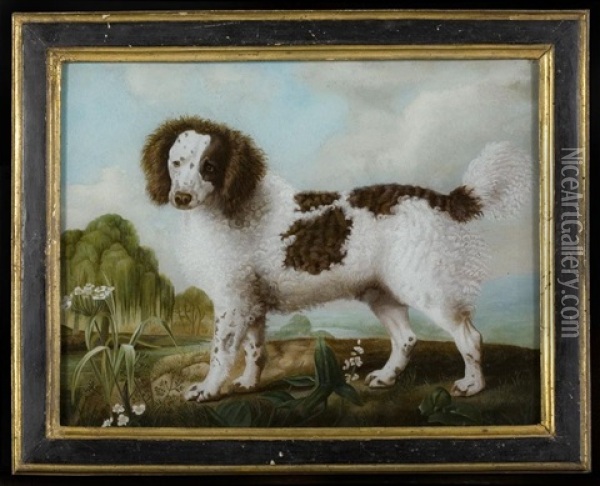 King Charles, Spitz Allemand Noir Et Blanc, Caniche And Caniche Bicolore Oil Painting - Nicolas Huet