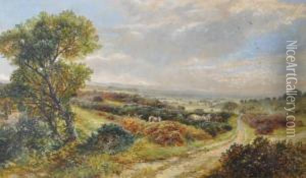 Extensiveheathland Landscape Oil Painting - James Peel
