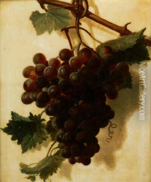 A Bunch Of Green Grapes Suspended From A Rope Oil Painting - Jan Frans Van Dael