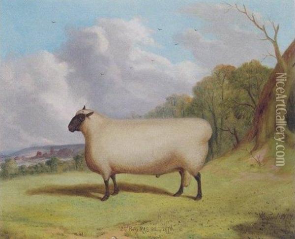 A Prize Shropshire Ram In A Landscape Oil Painting - Richard Whitford