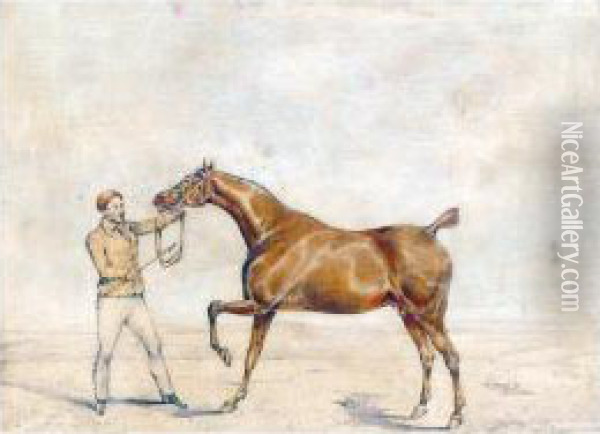 A Horse And A Jockey Oil Painting - Henry Thomas Alken
