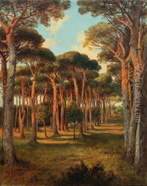 Piniovy Haj Oil Painting - Johann Novopacky