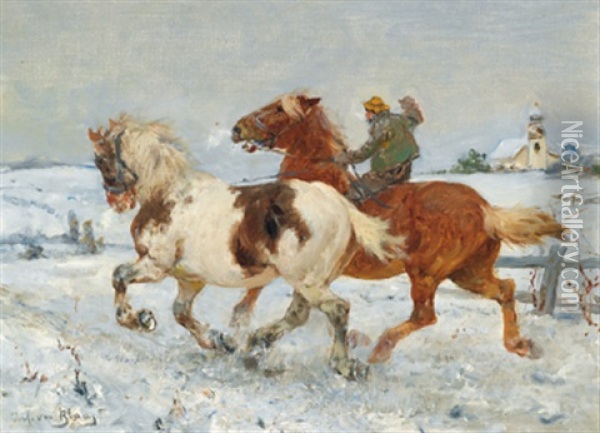 Bauer Mit Zwei Pferden Im Winter Oil Painting - Julius von Blaas