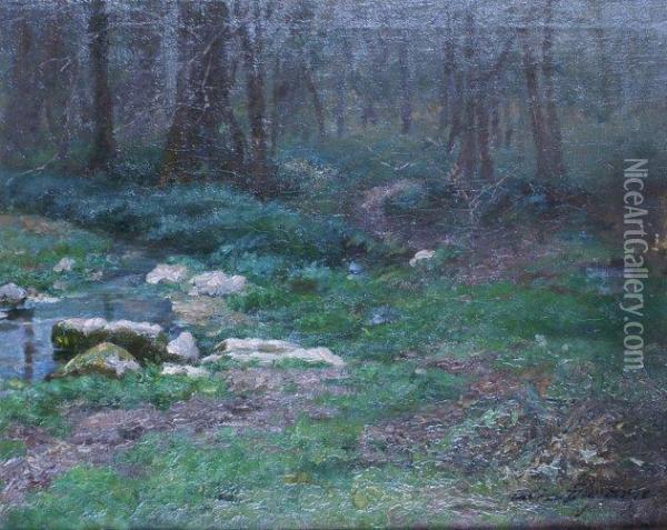 Le Ruisseau Dans Le Sous-bois Oil Painting - Adolphe L. Degrange Castex-Degrange