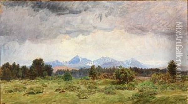 Landscape From Foldalen In Norway Oil Painting - Niels Kristian Skovgaard