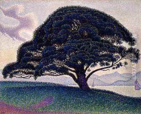 The Bonaventure Pine, 1893 Oil Painting - Paul Signac