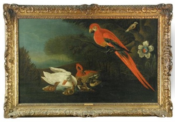 A Scarlet Macaw With Ornamental Domestic Ducks And Their Five Ducklings, With A Silver-breasted Broadbill Oil Painting - Jakob Bogdani