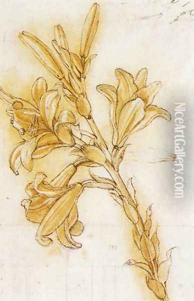 Lily Detail Oil Painting - Leonardo Da Vinci