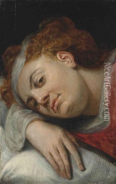 A Woman Resting Her Head On Her Right Arm Oil Painting - Frans Floris the Elder