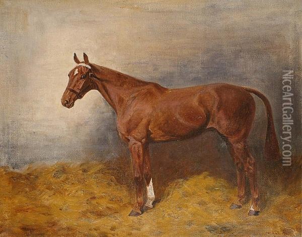 Portrait Of A Horse In A Stable Oil Painting - Thomas Ivester Lloyd
