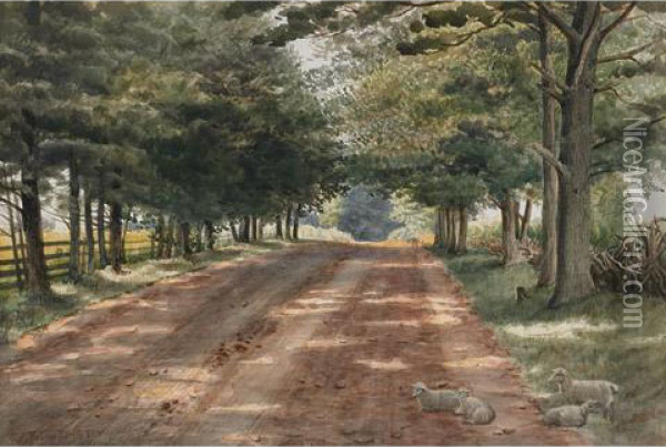 Sunlit Roadway Oil Painting - Thomas Mower Martin