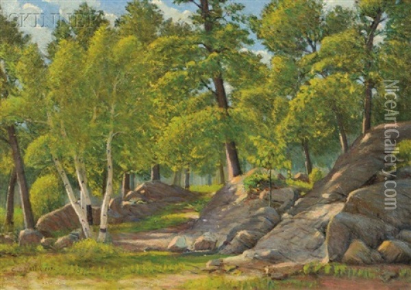 Rocks And Birch Trees In Sunlight Oil Painting - Cyrus Edwin Dallin