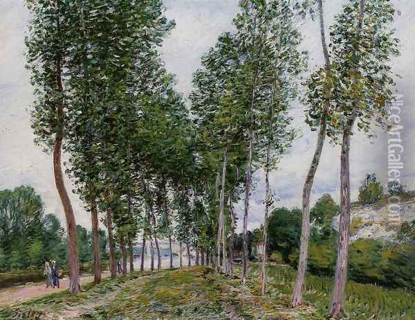 Lane of Poplars on the Banks of the Loing Oil Painting - Alfred Sisley