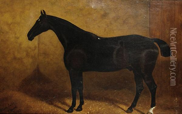 A Portrait Of 'black Jack' Oil Painting - Edith Ridley Corbet