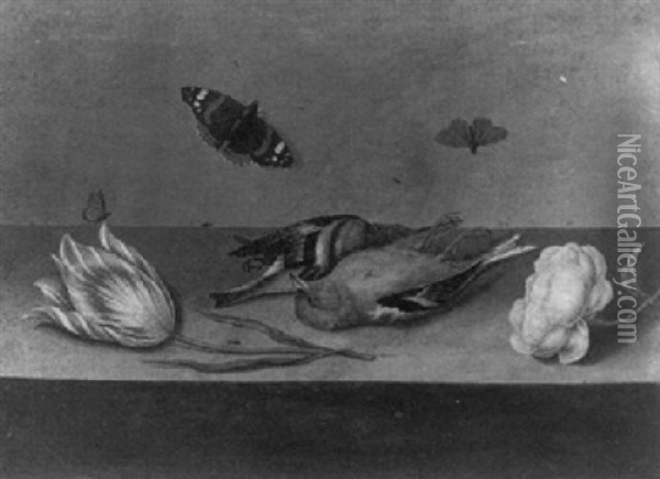 A Still Life With Dead Songbirds, A Rose, A Tulip, Butterflies And Other Insects On A Ledge Oil Painting - Willem (Guilliam) de Heer