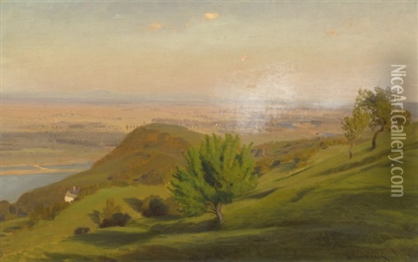 Blick Vom Bisamberg Auf Die Donau Bei Wien Oil Painting - Anton Hlavacek