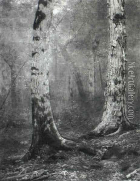 Forest Scene Oil Painting - Thomas William Marshall